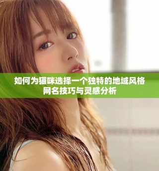 如何为猫咪选择一个独特的地域风格网名技巧与灵感分析
