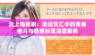北上电视剧：命运交汇中的青春奋斗与情感纠葛深度解析