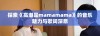 探索《高潮是mamamama》的音乐魅力与歌词深意