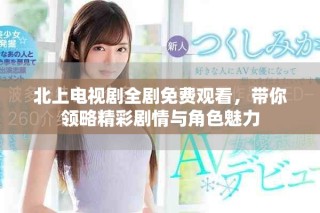 北上电视剧全剧免费观看，带你领略精彩剧情与角色魅力