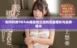 如何利用TikTok推动独立站的流量增长与品牌曝光