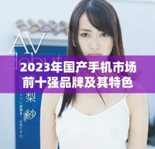 2023年国产手机市场前十强品牌及其特色分析与对比