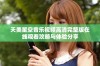 天美星空音乐视频高清完整版在线观看攻略与体验分享