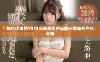 成色优良的Y31S究竟是国产品牌还是海外产品分析