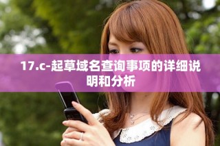 17.c-起草域名查询事项的详细说明和分析
