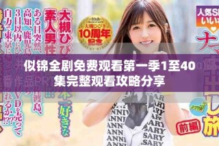 似锦全剧免费观看第一季1至40集完整观看攻略分享