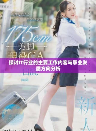 探讨IT行业的主要工作内容与职业发展方向分析