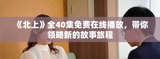 《北上》全40集免费在线播放，带你领略新的故事旅程