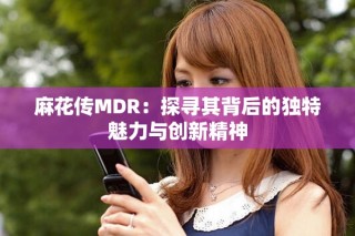 麻花传MDR：探寻其背后的独特魅力与创新精神