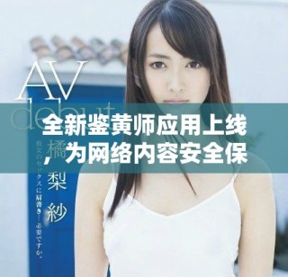 全新鉴黄师应用上线，为网络内容安全保驾护航