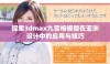 探索3dmax九宫格模型在亚洲设计中的应用与技巧