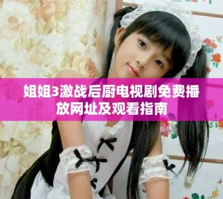 姐姐3激战后厨电视剧免费播放网址及观看指南