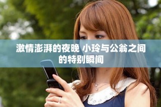 激情澎湃的夜晚 小玲与公翁之间的特别瞬间