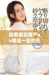 探索麻豆国产av精品一区的无限魅力与精彩内容