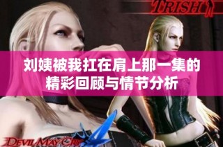 刘姨被我扛在肩上那一集的精彩回顾与情节分析