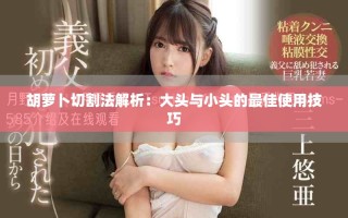 胡萝卜切割法解析：大头与小头的最佳使用技巧