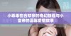 小乖乖在合欢宗的奇幻旅程与小皇帝的温馨爱情故事