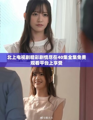 北上电视剧精彩剧情尽在40集全集免费观看平台上享受