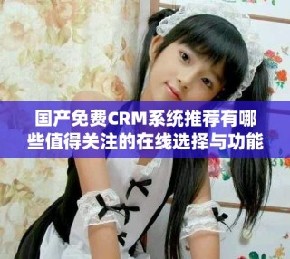 国产免费CRM系统推荐有哪些值得关注的在线选择与功能解析