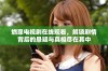 燃罪电视剧在线观看，解锁剧情背后的悬疑与真相尽在其中