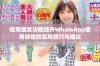 使用搜索功能提升WhatsApp使用体验的实用技巧与建议