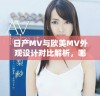 日产MV与欧美MV外观设计对比解析，哪款更具吸引力与特色