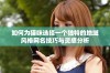 如何为猫咪选择一个独特的地域风格网名技巧与灵感分析