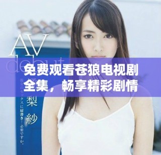 免费观看苍狼电视剧全集，畅享精彩剧情与动人故事