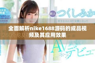 全面解析nike1688源码的成品视频及其应用效果