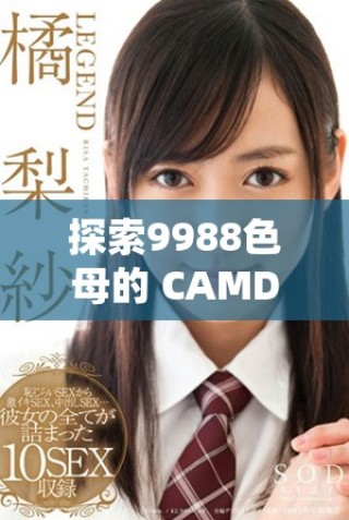 探索9988色母的 CAMDS 成分分析与应用研究