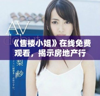 《售楼小姐》在线免费观看，揭示房地产行业背后的故事与秘密