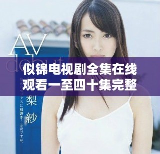 似锦电视剧全集在线观看一至四十集完整版分享与剧情简介