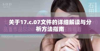 关于17.c.07文件的详细解读与分析方法指南