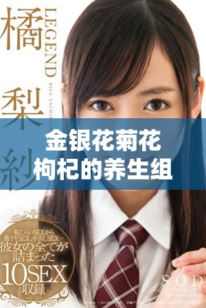 金银花菊花枸杞的养生组合助力提升免疫力与清热解毒效果