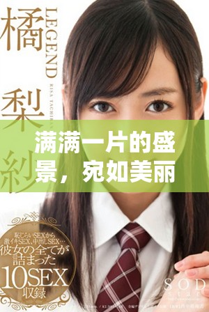 满满一片的盛景，宛如美丽画卷般绽放精彩与魅力