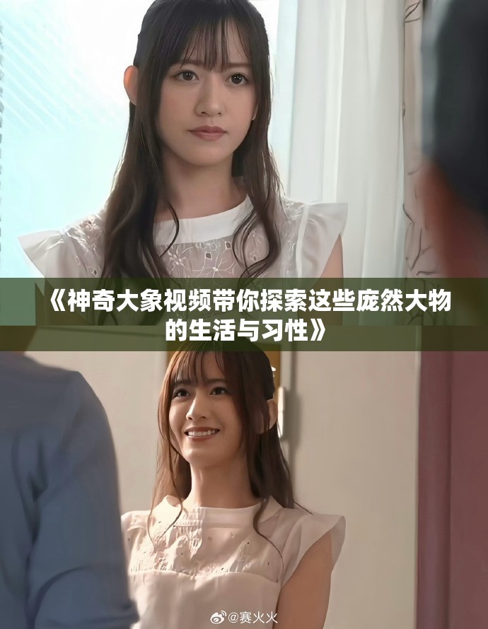 《神奇大象视频带你探索这些庞然大物的生活与习性》