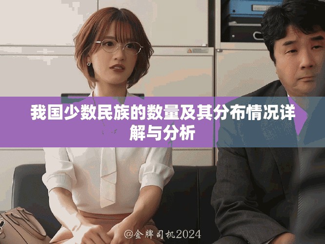 我国少数民族的数量及其分布情况详解与分析