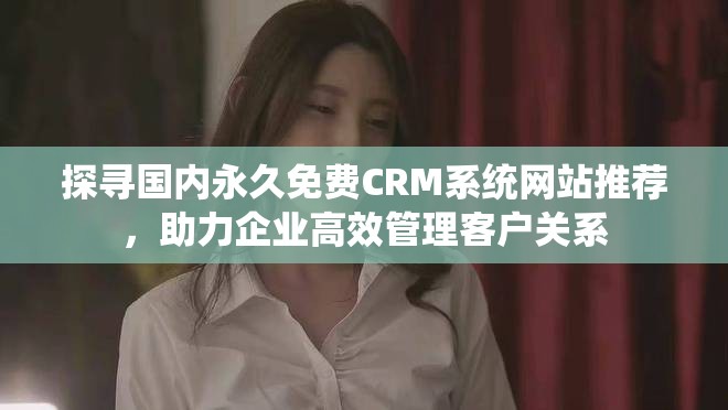 探寻国内永久免费CRM系统网站推荐，助力企业高效管理客户关系