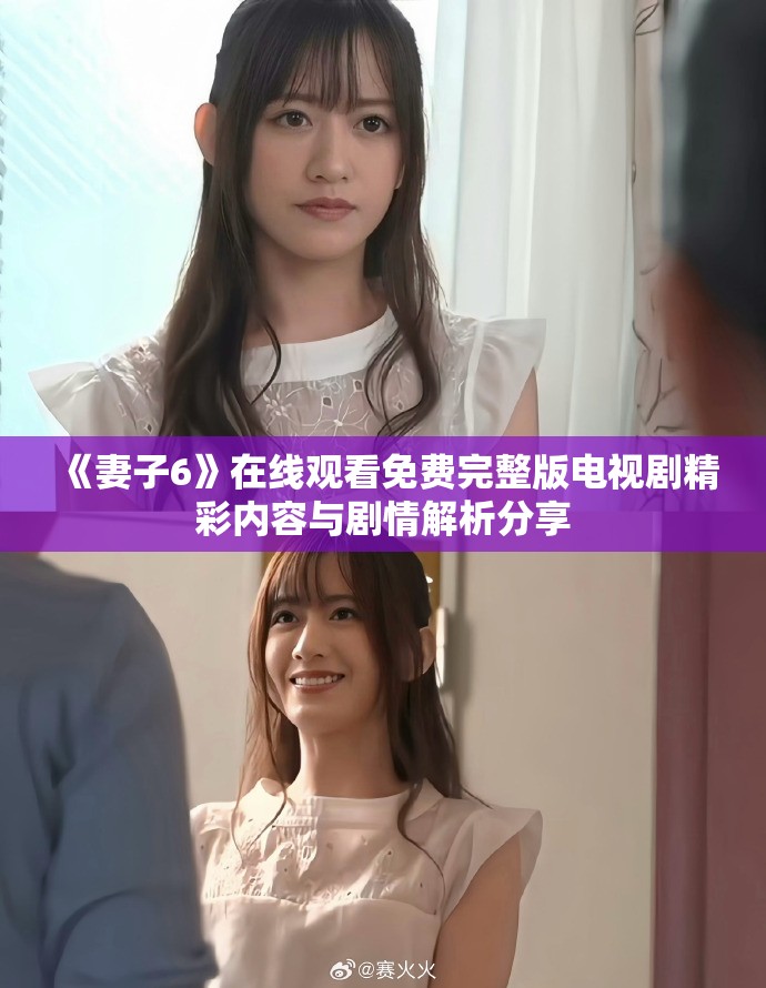 《妻子6》在线观看免费完整版电视剧精彩内容与剧情解析分享