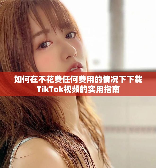 如何在不花费任何费用的情况下下载TikTok视频的实用指南