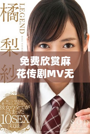 免费欣赏麻花传剧MV无痕版 感受精彩剧情与音乐魅力