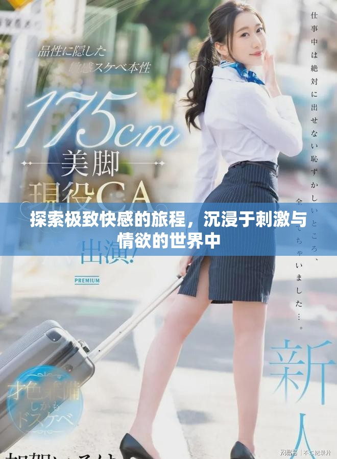 探索极致快感的旅程，沉浸于刺激与情欲的世界中