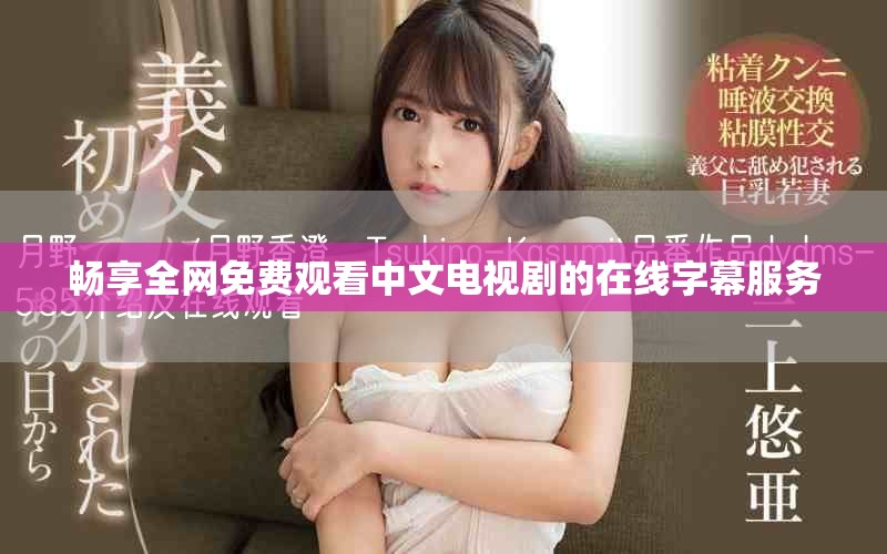畅享全网免费观看中文电视剧的在线字幕服务