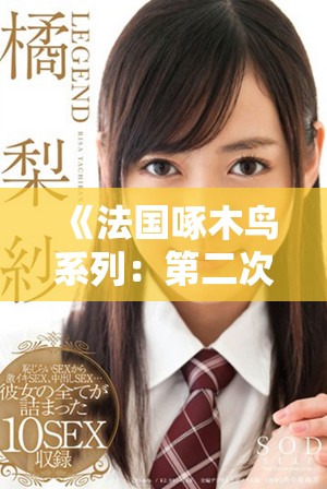 《法国啄木鸟系列：第二次会议带来的新思考与启示》