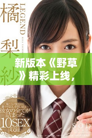 新版本《野草》精彩上线，带你领略心灵深处的自然之美