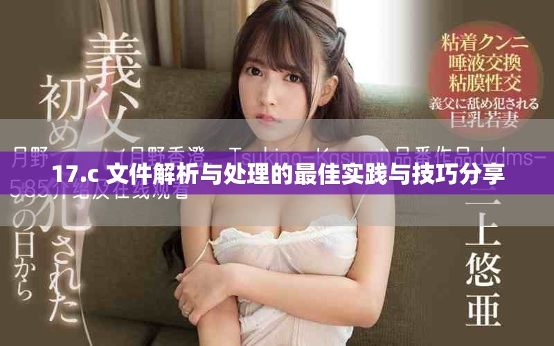 17.c 文件解析与处理的最佳实践与技巧分享