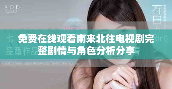 免费在线观看南来北往电视剧完整剧情与角色分析分享