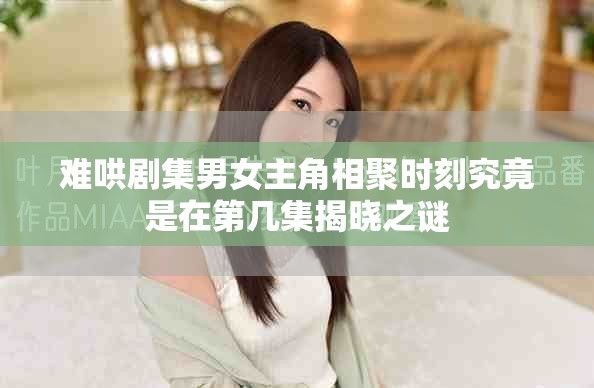 难哄剧集男女主角相聚时刻究竟是在第几集揭晓之谜
