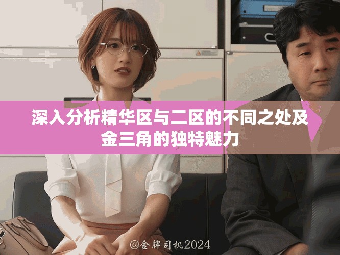深入分析精华区与二区的不同之处及金三角的独特魅力