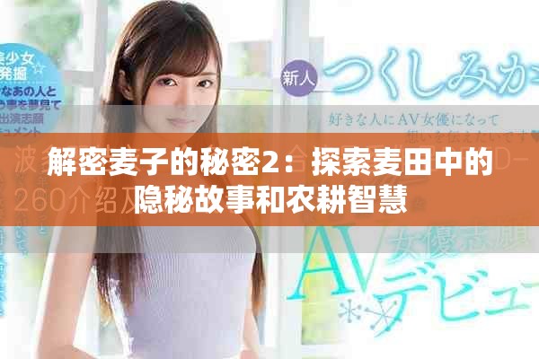 解密麦子的秘密2：探索麦田中的隐秘故事和农耕智慧